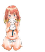 ピンナップ択捉