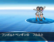 ぽけものフレンズBW2戦闘画面 てきなもの