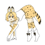 四つん這いで歩くサーバルちゃん