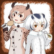 チョイなのです