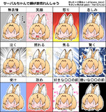 サーバルちゃんで顔げ…表情練習しました！