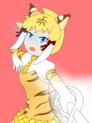 一点集中シャインサーベル