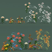 菊 その２ 配布