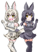 ホワイト&ブラック