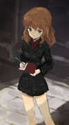 フェル12