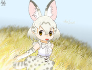 ホワイトサーバルちゃん