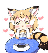 スナネコです。