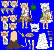 千賀風チーター