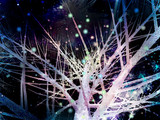 星屑の光
