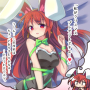 クリスマスに向けてどういう攻めでいくべきか思案するうちの子