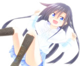 うちの子
