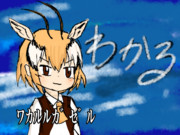 ﾜｶﾙﾙｶﾞｾﾞﾙ