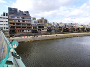 【MMD】鴨川とミクさん【京都その1】