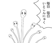 いとこんにゃく
