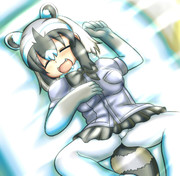 眠るアライさん