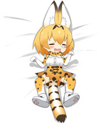 失われた野生