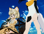 マーゲイの視線