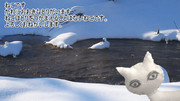 ねこがゆきでした。  さん