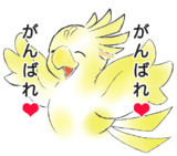 がんばれ❤チョコボ