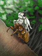 セミ様のセミヌード