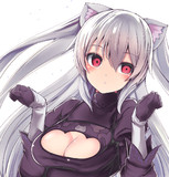 のらオートきゃっと？