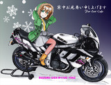 SUZUKI GSX-R1100