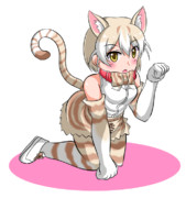 イエネコちゃん