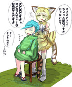 散髪するツチスナ