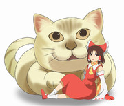 百万回イった猫（ミウラネコ）