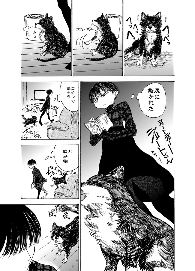 ショートショートショートさん 18 ショートさんと犬 タカノンノ