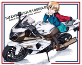 SUZUKI GSX-R1000 25th anniversary edition