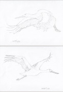 5分でコウノトリ×2