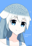 ヒョウアザラシちゃん