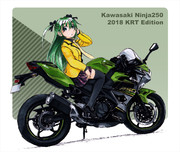 Kawasaki Ninja250 KRT Edition