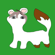 コッパですよろしくおねがいします