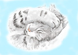 neko