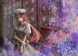 紫陽花