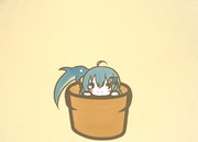 デルフィニウム