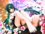 【今日のミクお姉さん】ミクお姉さんの 美しい足先♡