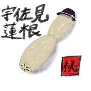 秘封印の宇佐見蓮根