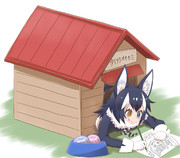 専用ロッジで寛ぐタイリクオオカミ