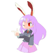 ウドンゲ