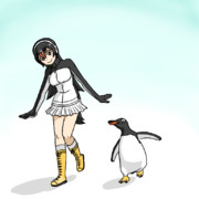 ジェンツーペンギン