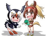 配合飼料を分けてもらうパフィン