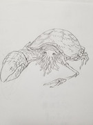 右利き海洋生物