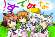 カレーの鳥と駆逐艦