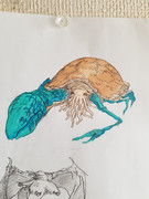 初コピック 右利き海洋gmｸﾘｰﾁｬｰ 着彩