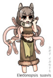 イカみたいなハナアルキ