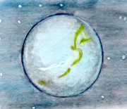 イスカンダル星