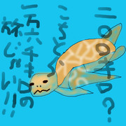 どうぶつ図鑑~ウミガメ 1万6000キロの旅~